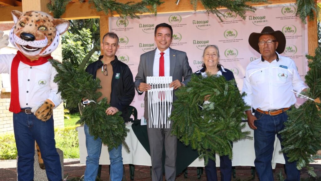 Guatemala celebra la Navidad con el arranque de las Ferias del Pinabete 2025