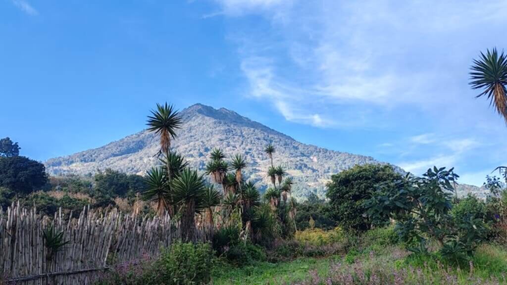 Santa María destaca como la capital del primer evento latinoamericano de Disc Golf