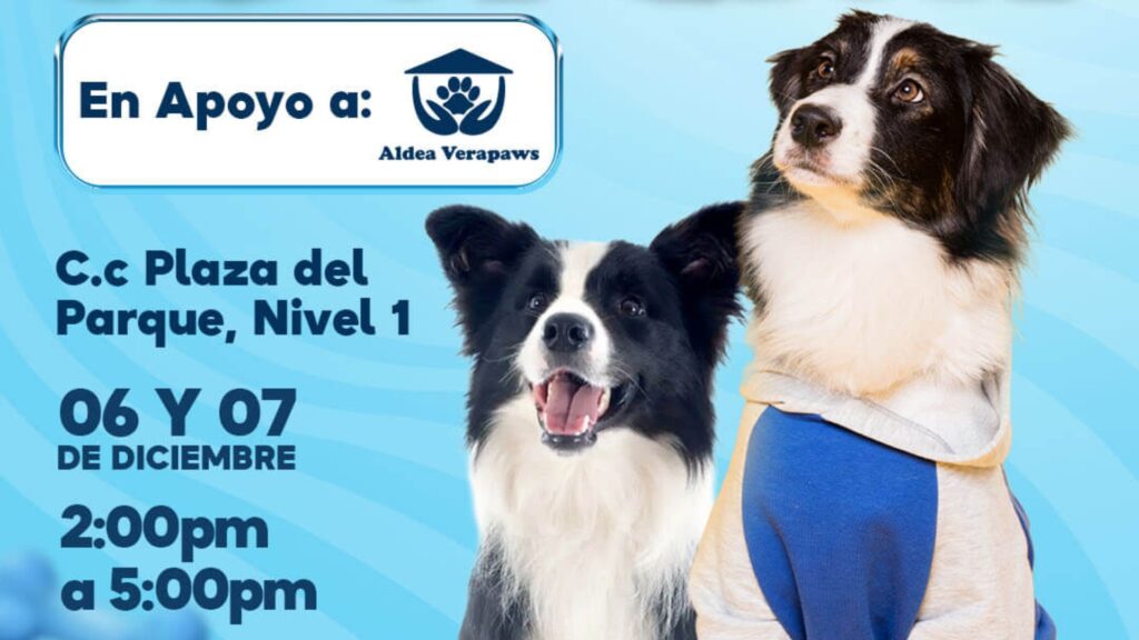 Plaza del Parque celebra diciembre con un espectacular encendido navideño