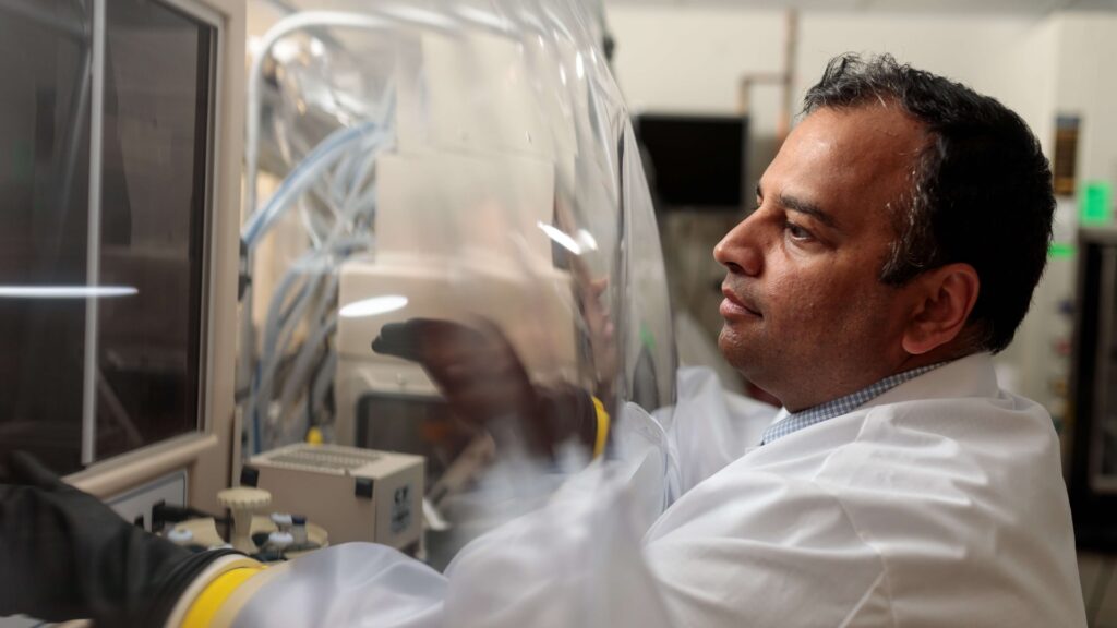 “Salud intestinal: Mayo Clinic detalla los beneficios de entender su microbioma”