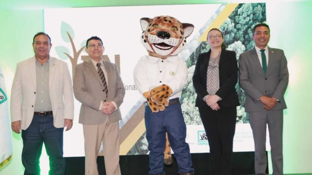 Guatemala presenta los resultados del Segundo Inventario Forestal Nacional