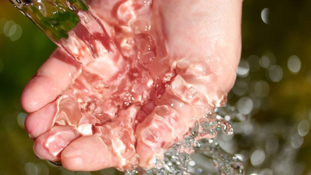 Dos Pinos impulsa la eficiencia hídrica para un futuro sostenible en Guatemala