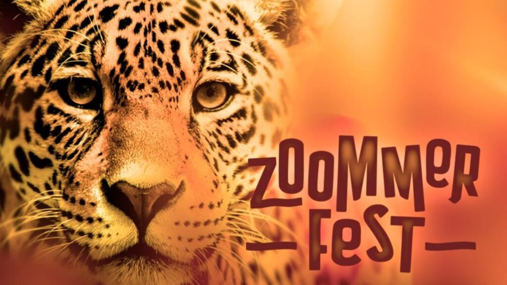 Zoommer Fest transforma el Zoológico La Aurora con experiencias interactivas