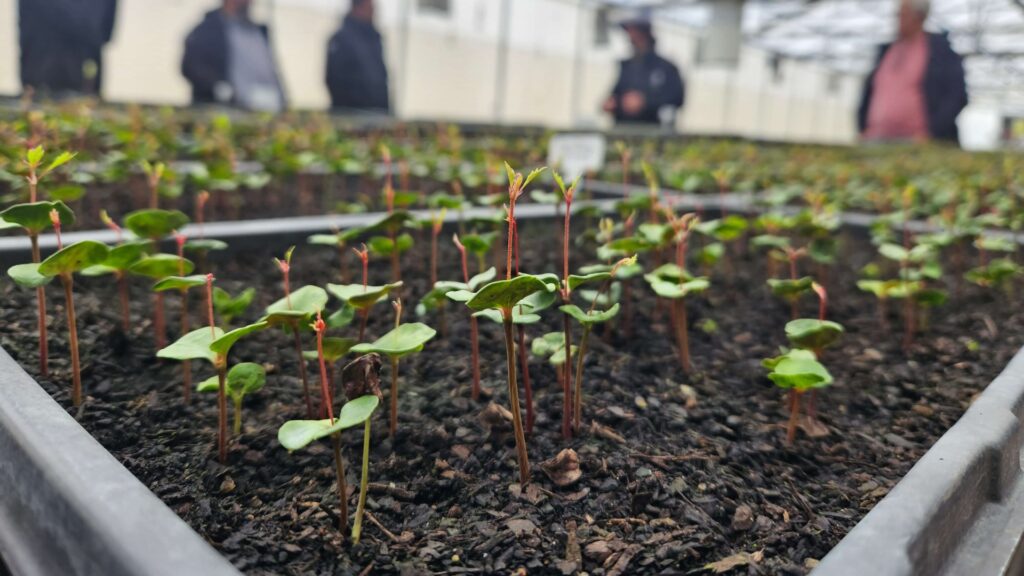 Epson destaca su enfoque sostenible en el Día de la Tierra