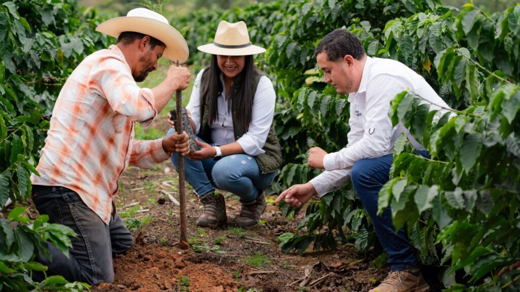 Nestlé impulsa la siembra de más de 2 millones de árboles en Centroamérica
