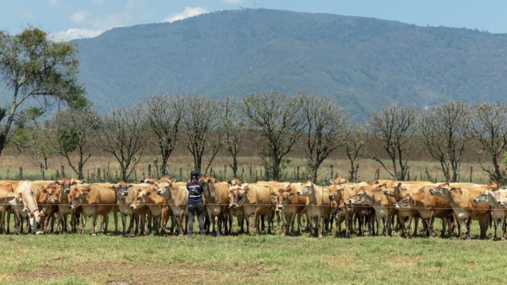 Pasajinak impulsa la sostenibilidad con iniciativas ambientales y energías limpias