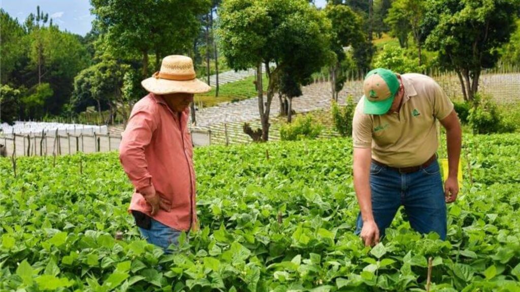 Foragro fortalece el desarrollo agrícola con herramientas más eficientes
