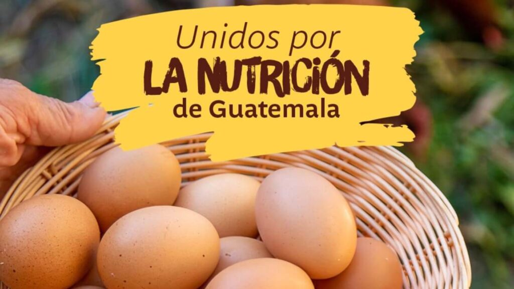 Nutrición al alcance: el valor del huevo en la mesa guatemalteca