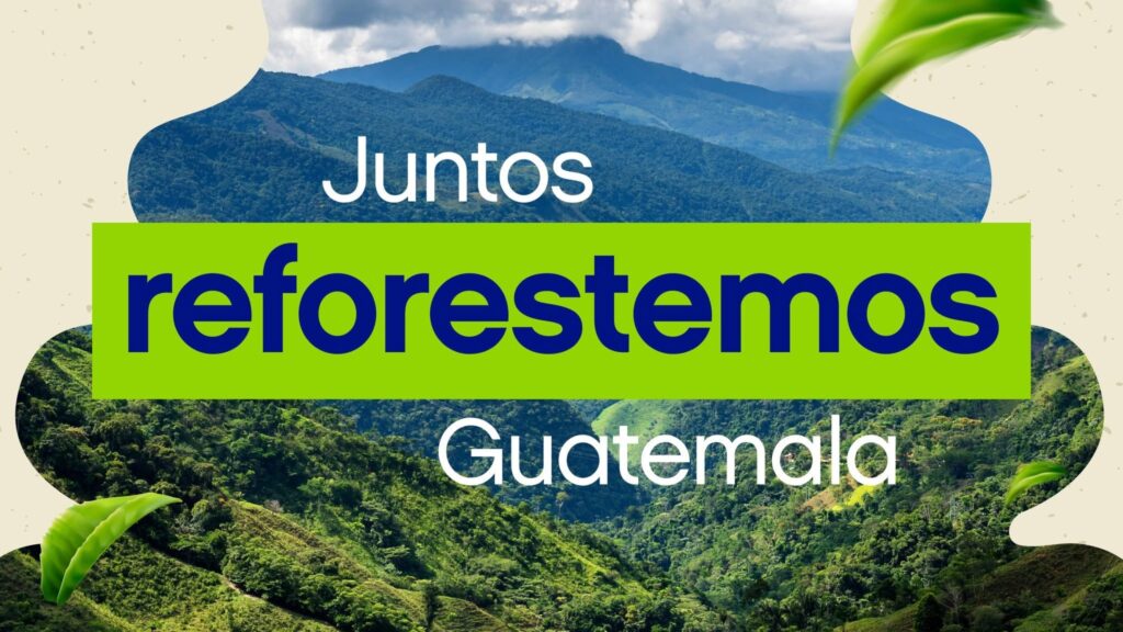 Una pequeña donación puede generar un gran impacto en los bosques de Guatemala