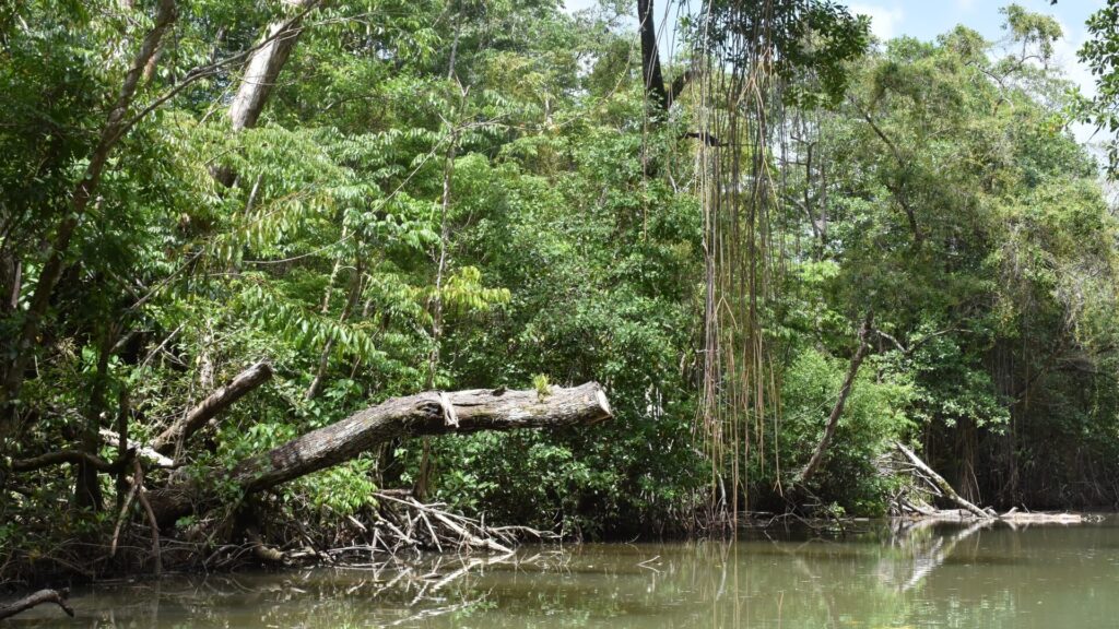 INAB reafirma su compromiso con el crecimiento económico de las áreas rurales