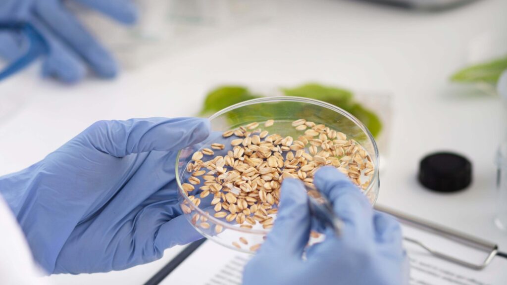 Senacyt financiará proyectos de investigación con hasta Q1 millón en Guatemala