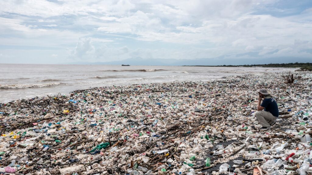 Plastic Free July alerta sobre los riesgos de los plásticos de un solo uso para el ambiente y la salud