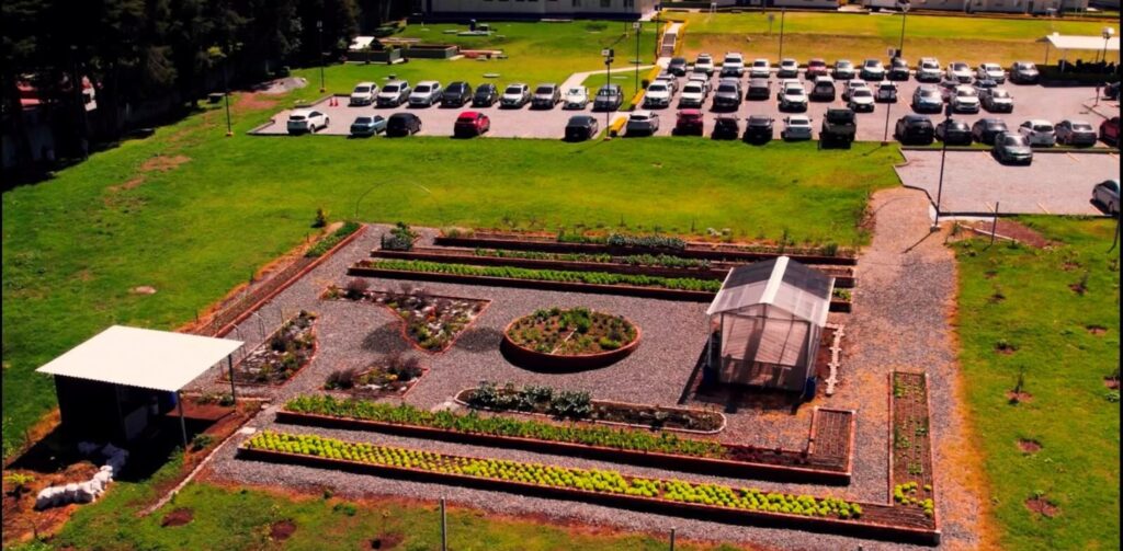 Eurofarma Guatemala impulsa la sostenibilidad con una huerta orgánica