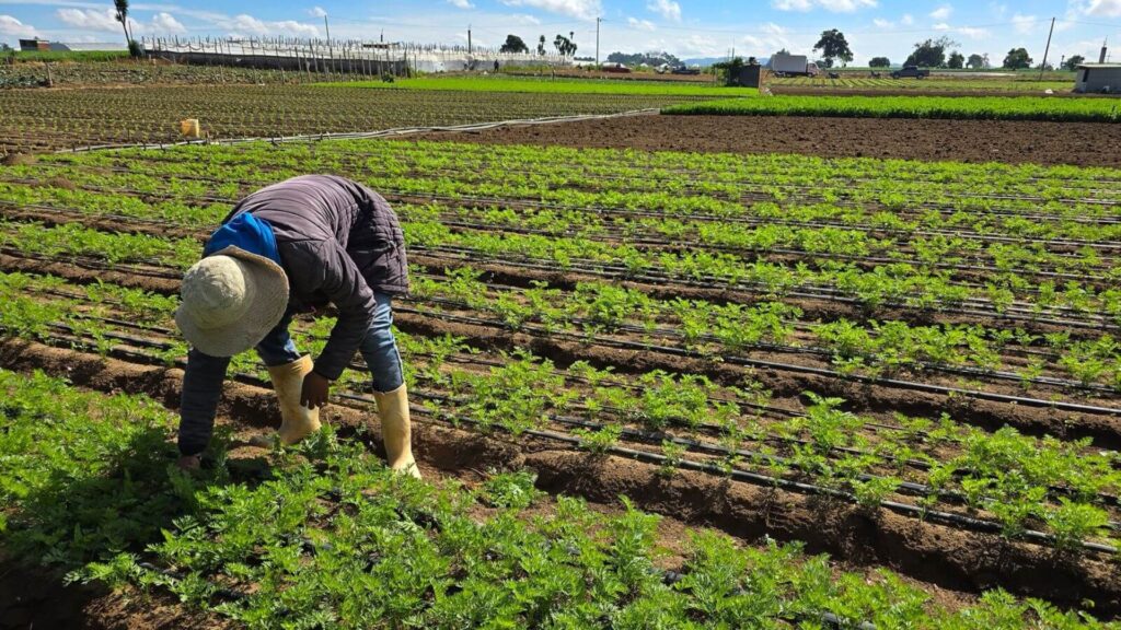 FORAGRO destaca el valor de la agricultura en el desarrollo de Centroamérica