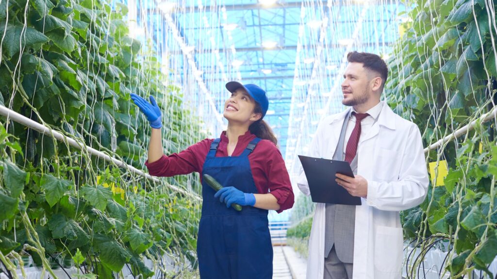 Del campo a las finanzas: cómo los riesgos agropecuarios impactan a las empresas