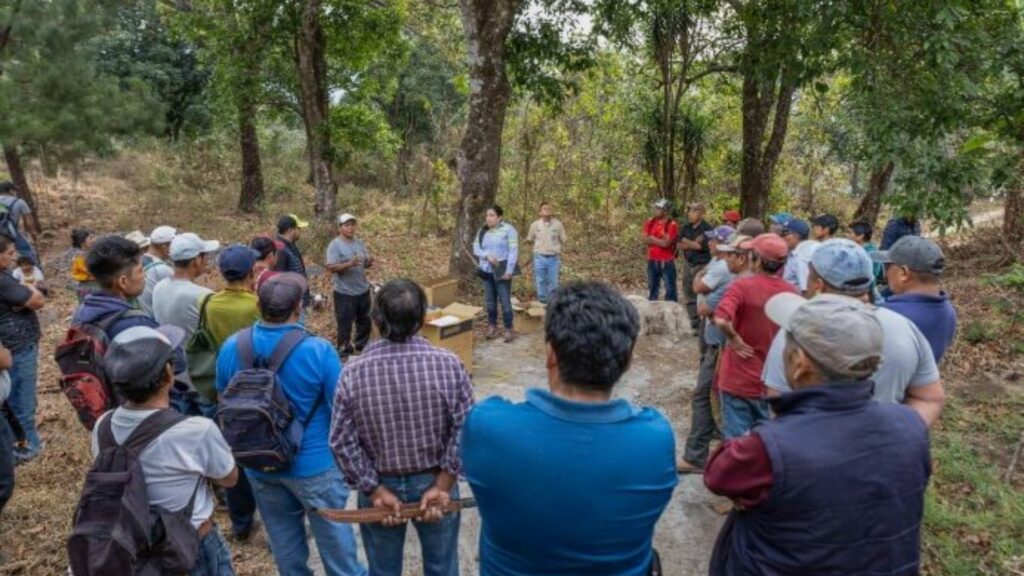 Las Violetas: una iniciativa que convierte las necesidades de la comunidad en bienestar