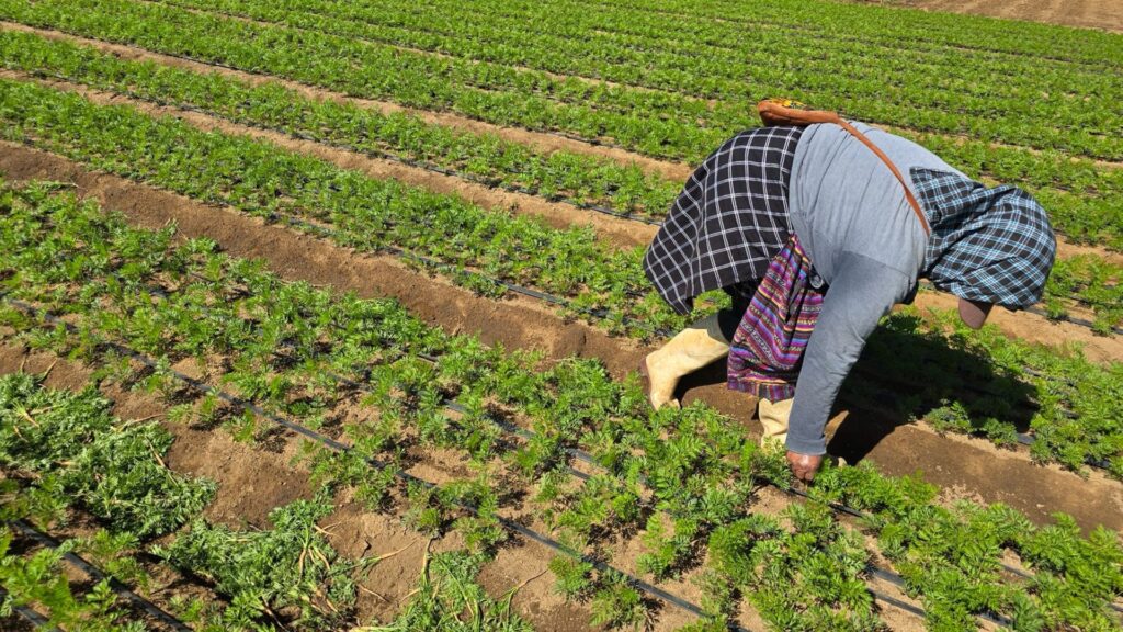 FORAGRO reconoce el aporte de las mujeres al desarrollo del agro