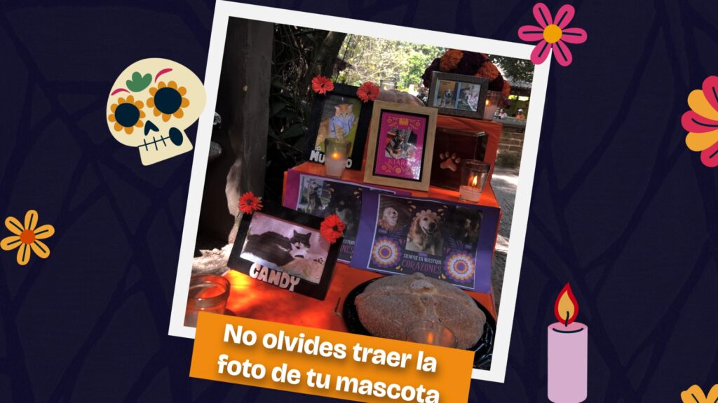Zoológico La Aurora recuerda a los animales que dejaron huella en el Día de Muertos